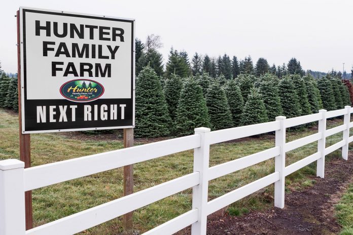 Christmas tree farms