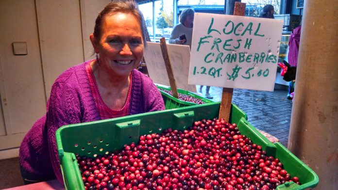 bloom creek cranberry farm