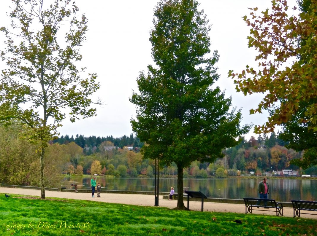 capitol lake