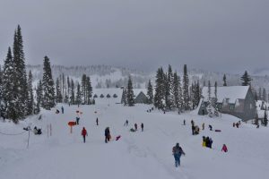 mount rainier sledding