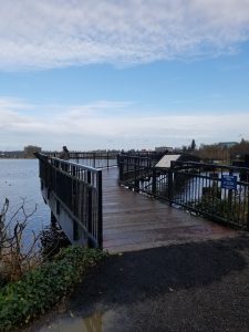 capitol lake walk