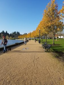 capitol lake walk