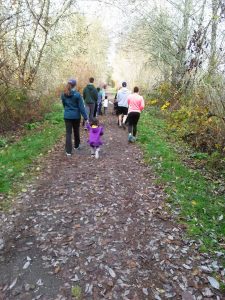 The non-profit organization says they aim for at least one hike a week and you can find the schedule on their calendar.