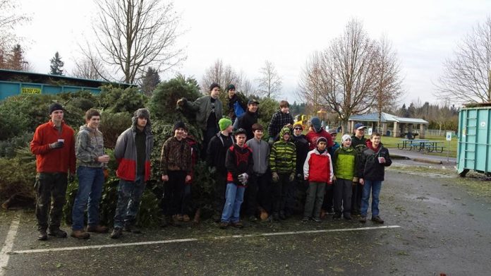 christmas tree recycling