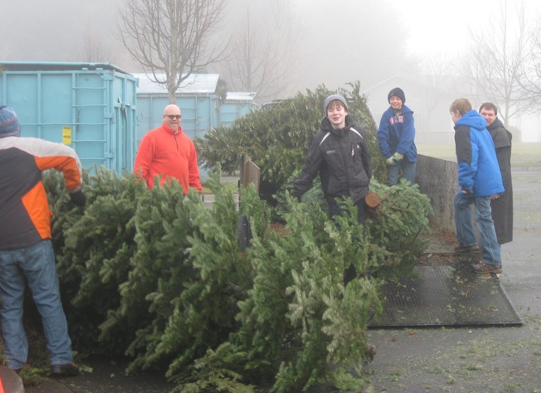 christmas tree recycling