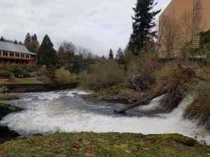 tumwater falls park