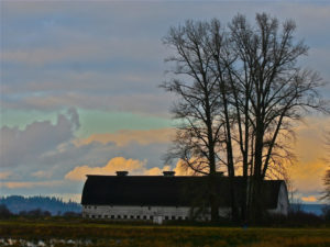 nisqually wildlife refuge