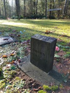 delphi pioneer cemetery