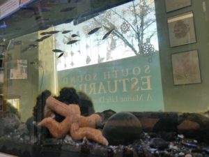 south sound estuarium