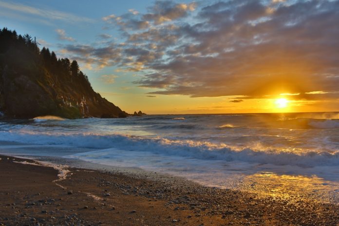 washington coast lodge