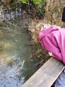 mclane creek nature trail