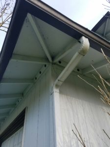 spring home maintenance