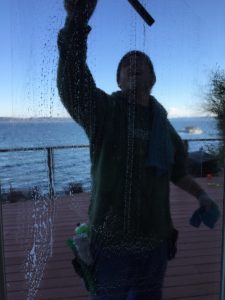 window cleaning olympia