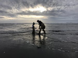 Razor clam