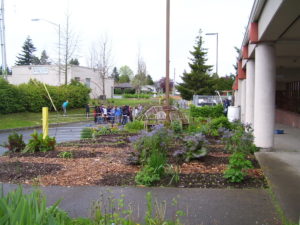 Olympia Garden Club