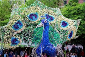 Procession of the Species
