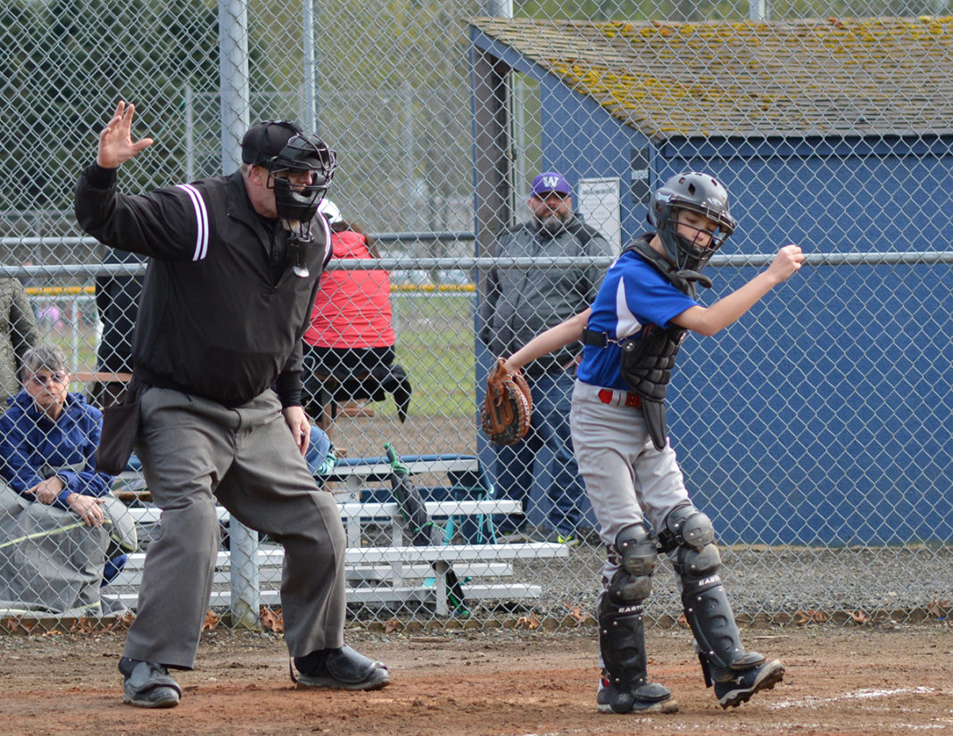 capitol little league