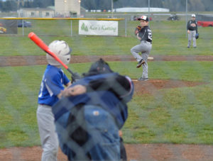 capitol little league