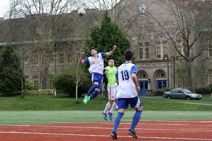 oly town artesians oly town artesians