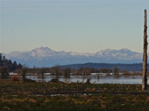 nisqually wildlife refuge