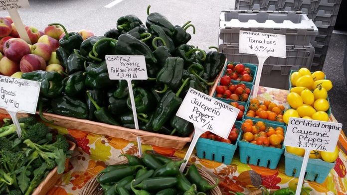 tumwater farmers market