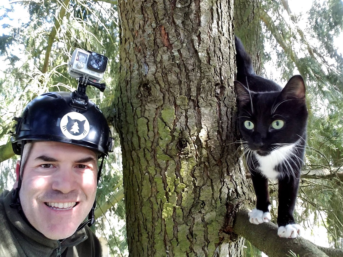Cat in hotsell a tree rescue