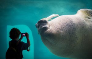 Point Defiance Zoo & Aquarium Rocky Shores