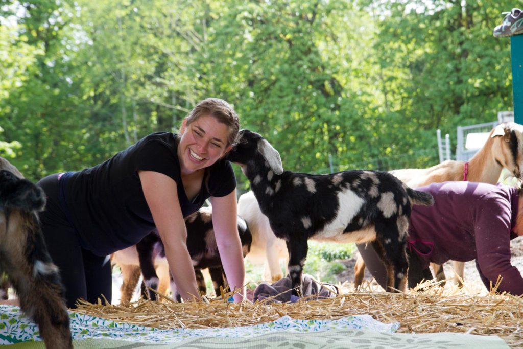 Goat Yoga Olympia