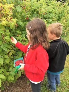 Sequoia's Treehouse Summer Camp