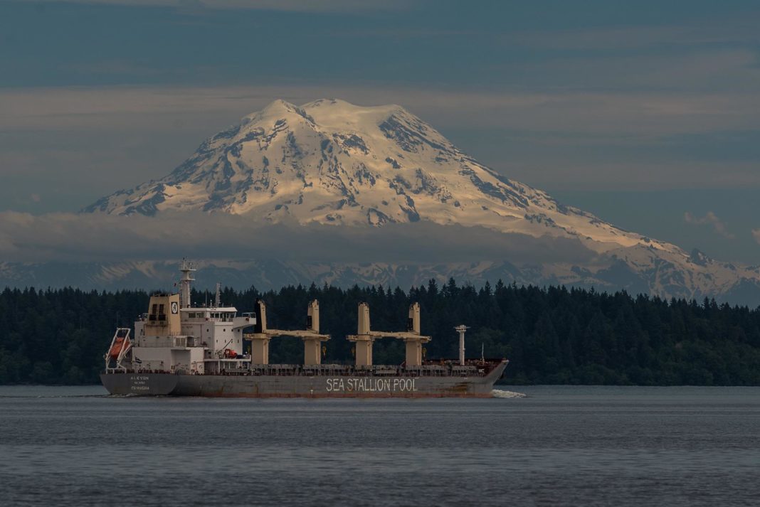 Mt. Rainier