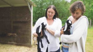 stone city farm