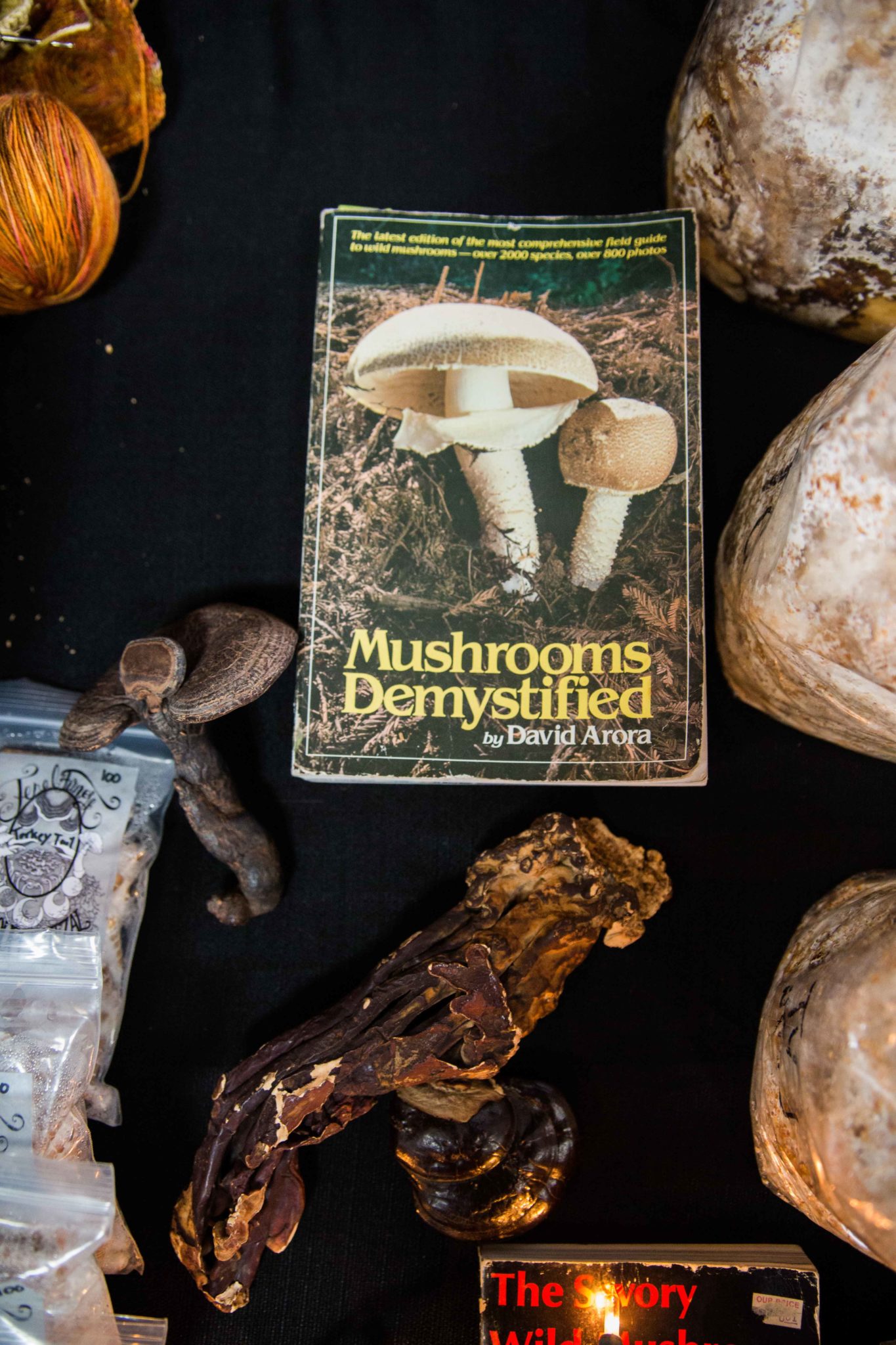 olympia mushroom