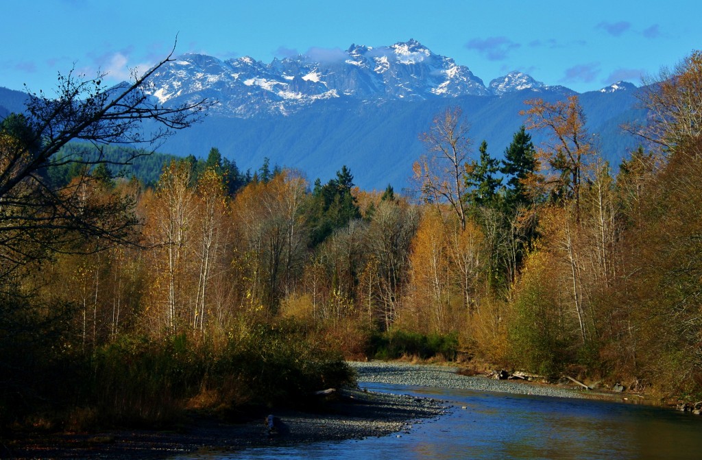 hood canal camping