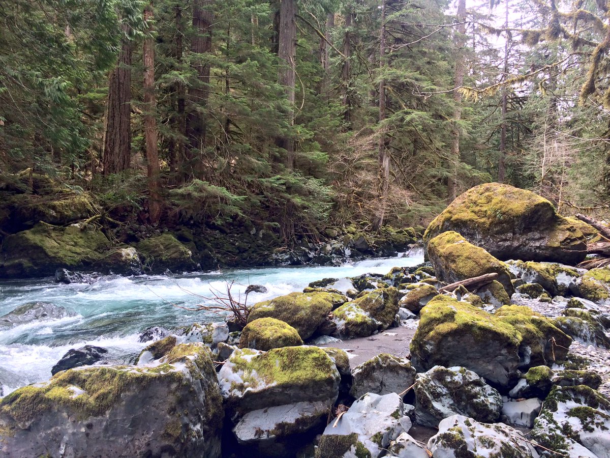 hood canal camping
