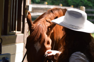 thurston county posse rodeo