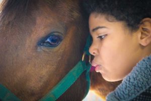 equine therapy HeartStrides