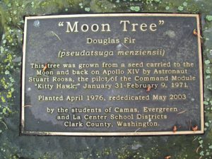 moon tree