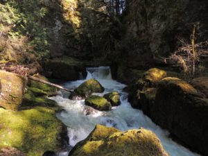 Deschutes Falls Park