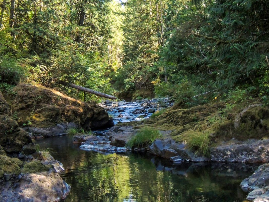 Deschutes Falls