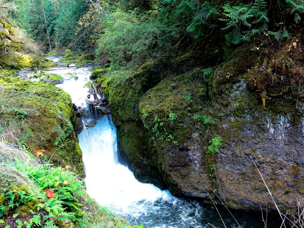 Deschutes falls park