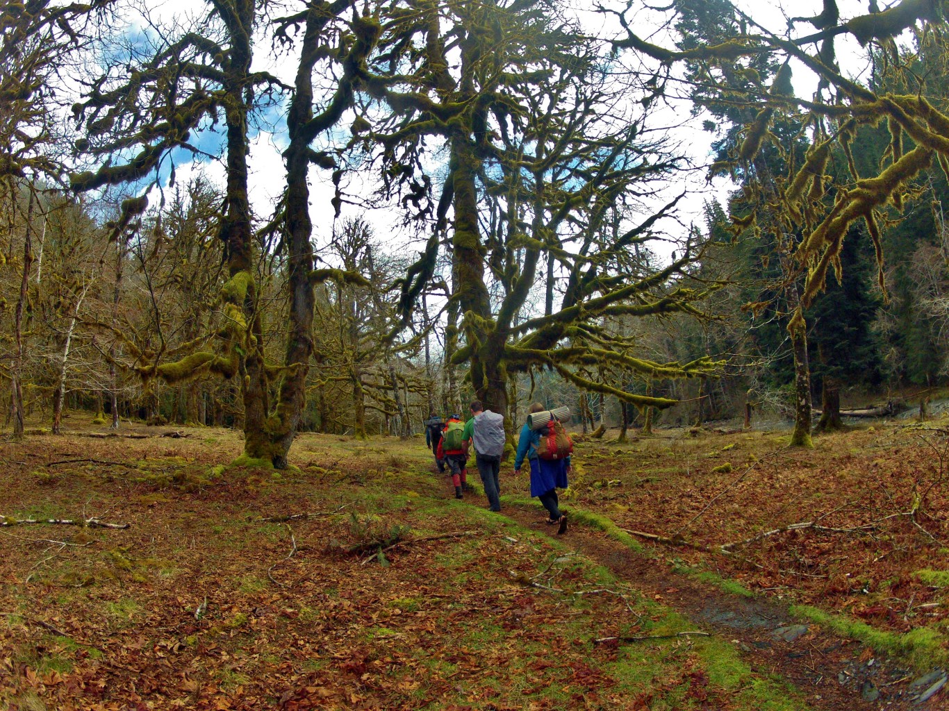 hiking safety tips