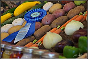 Grays Harbor County Fair