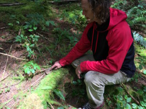 mushroom hunting