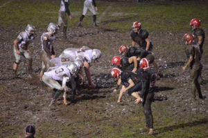 Tenino stadium project