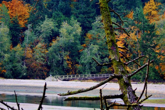 Tolmie State Park