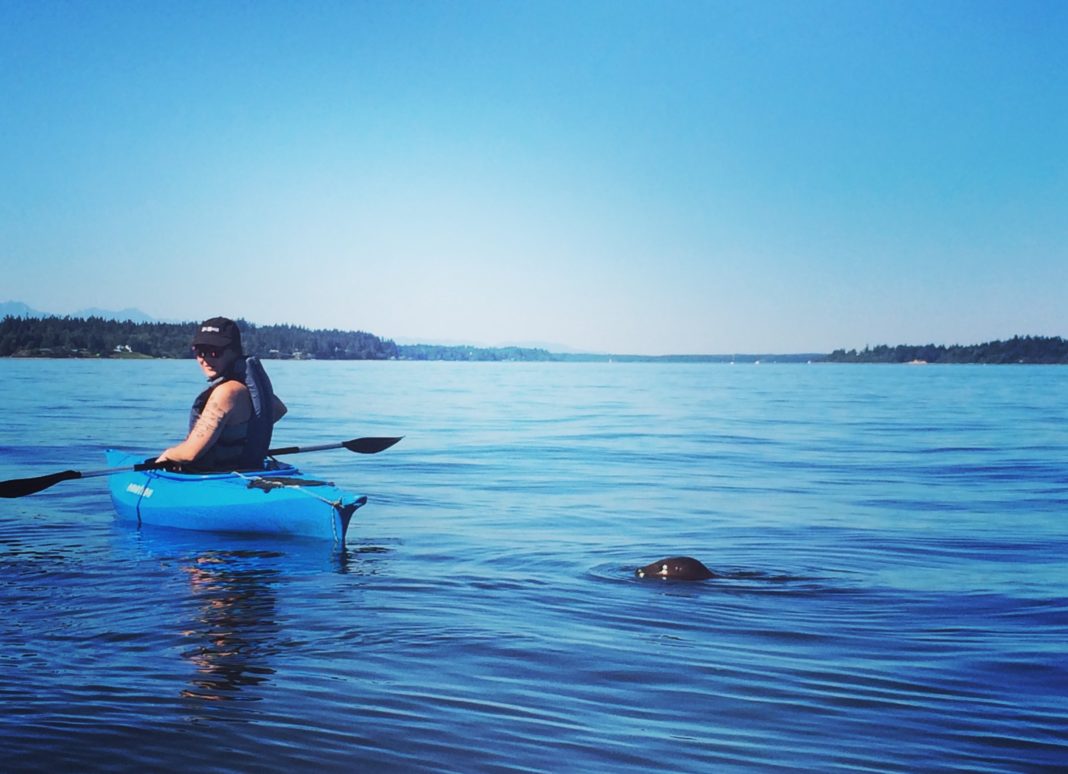 kayak budd inlet