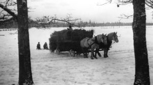 Nelson Ranch history, Tenino