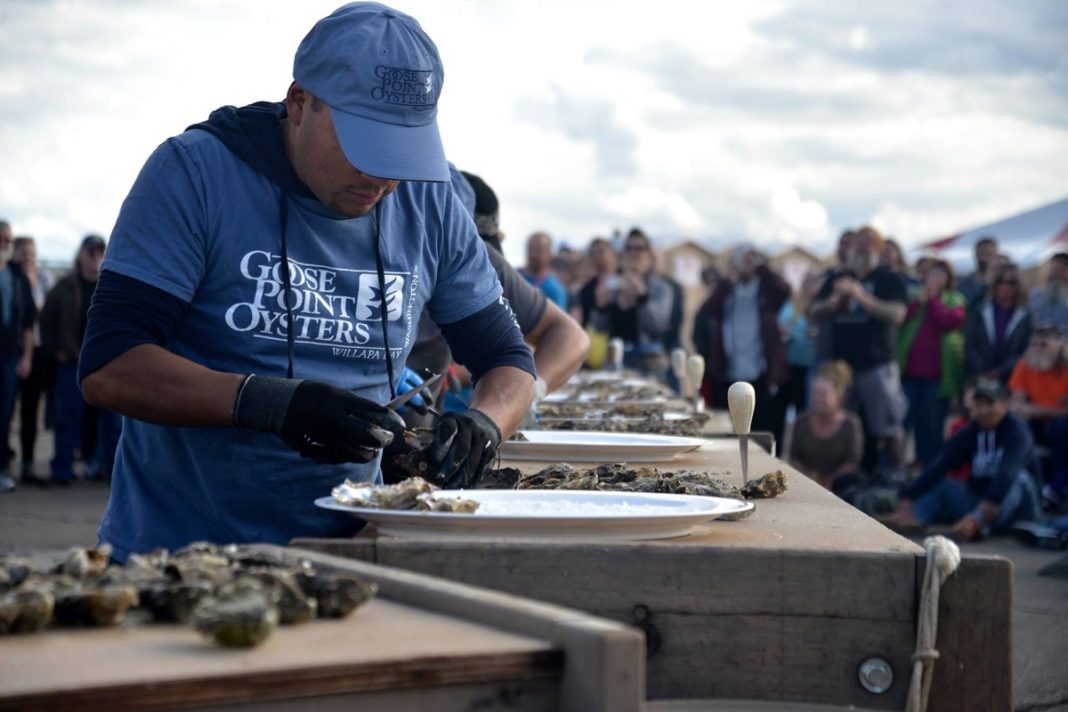 Shelton's 36th Annual OysterFest More than Just Seafood ThurstonTalk