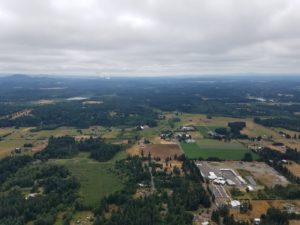 corn maze