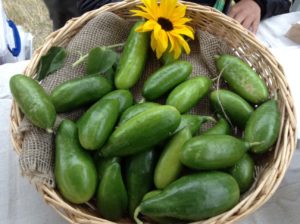 delphi farmer's market